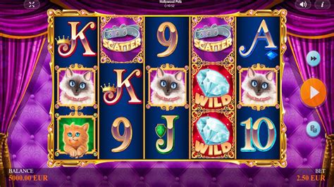 hollywood pets slots games|Hollywood Pets Demo Play Free Slot Game .